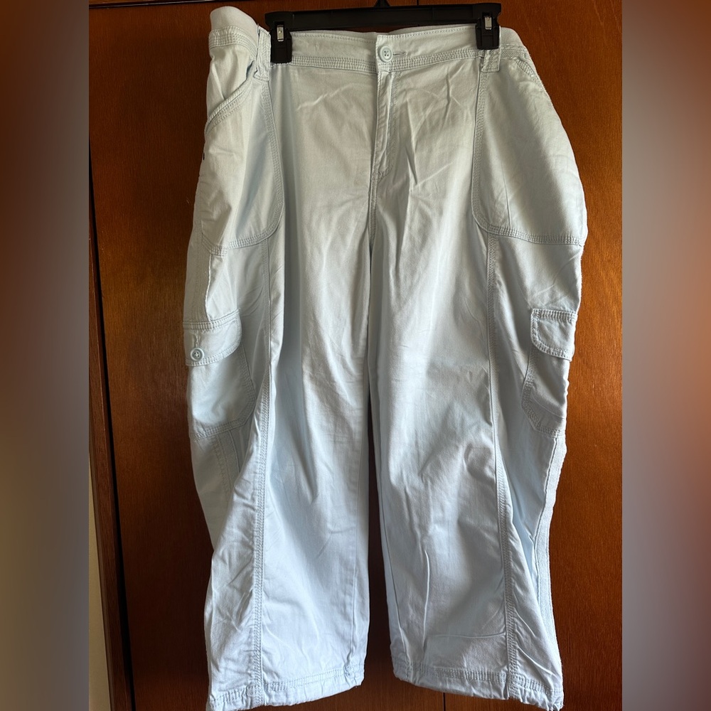 Style & Co Blue Ankle Cropped Pants Relaxed Fit